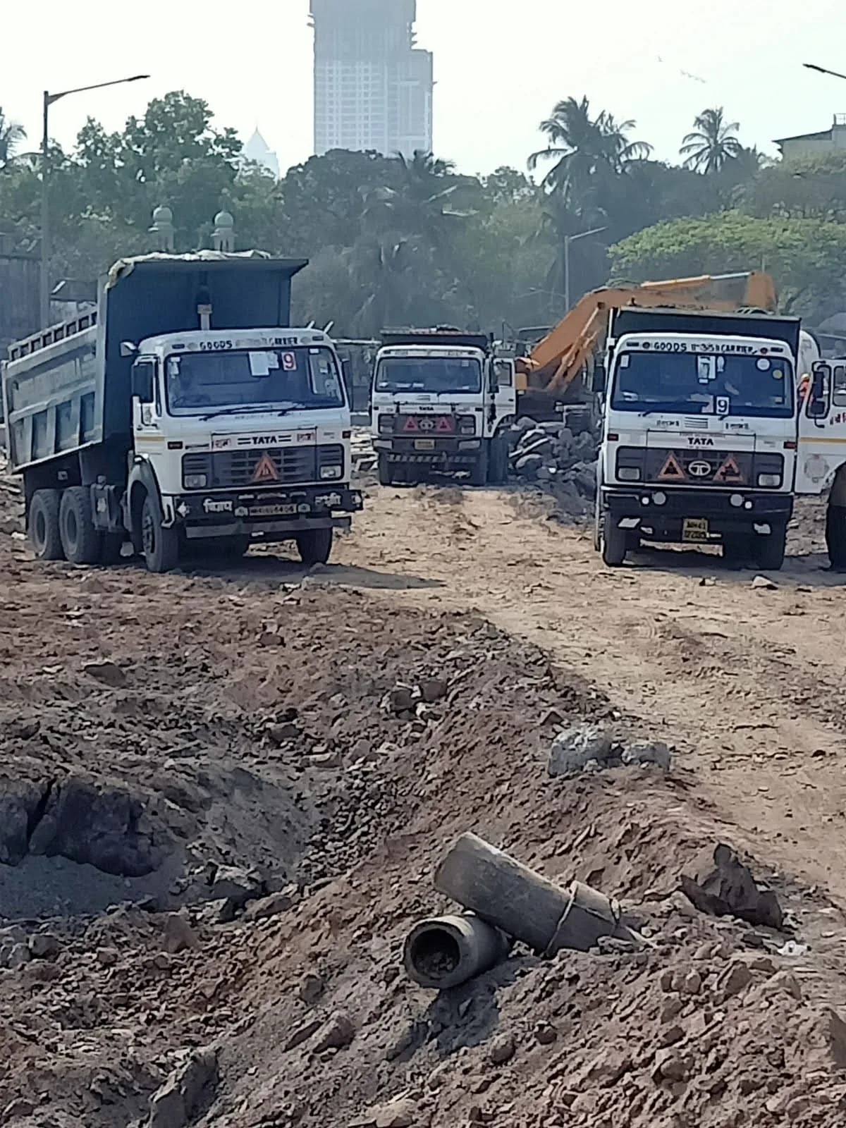 Debris Cartaway